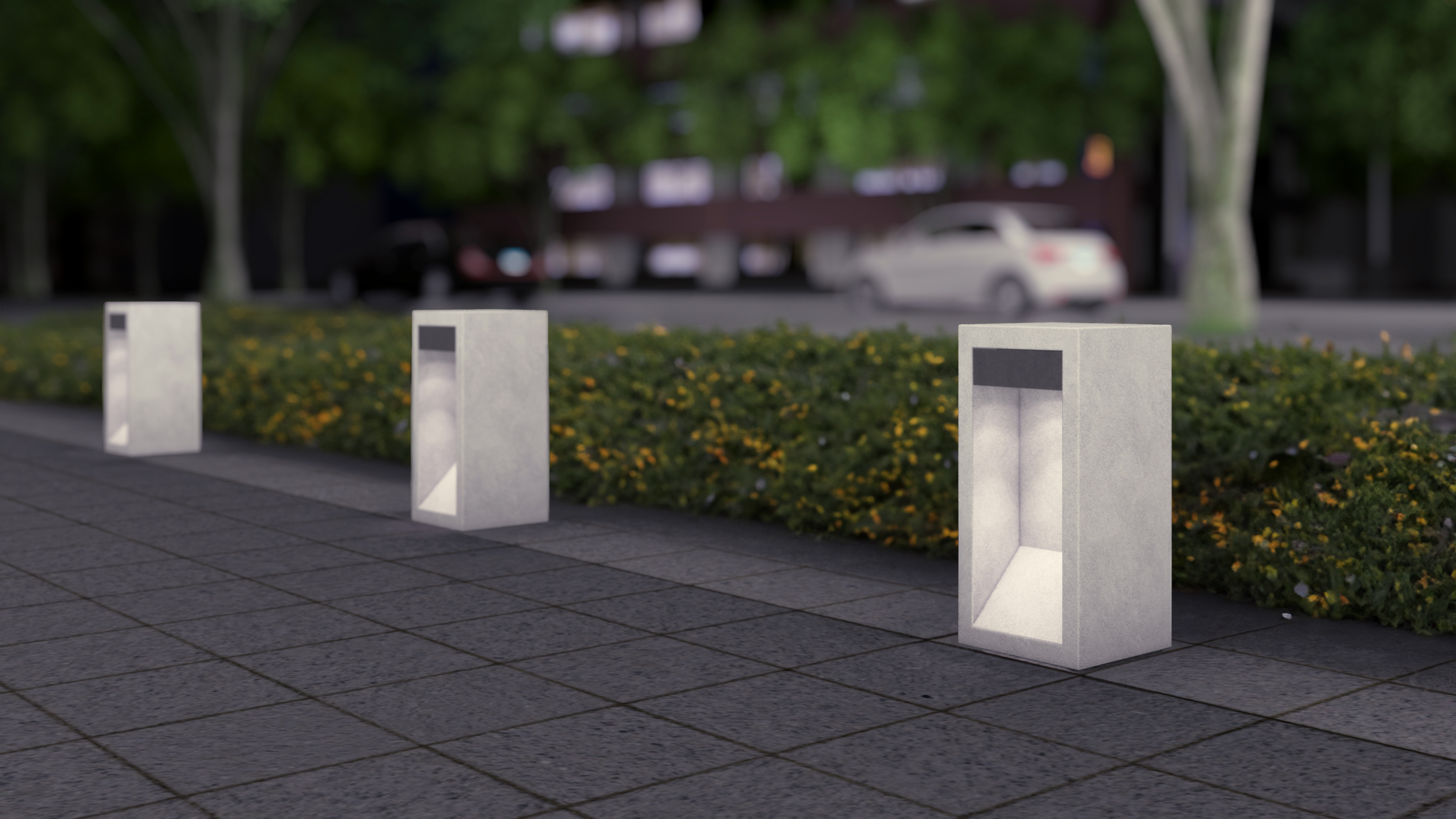 Bollard Light