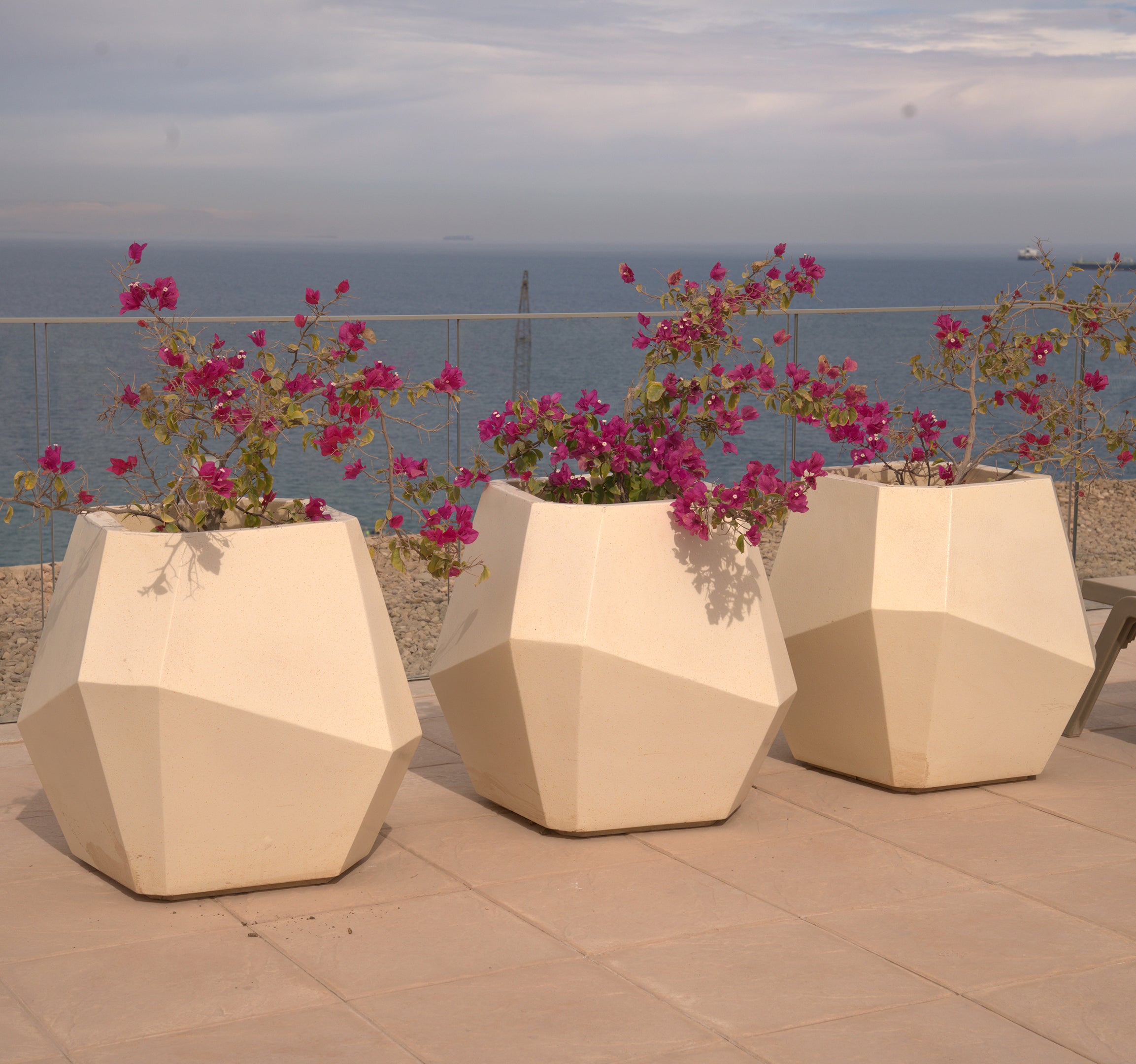 Tango Standard Pot