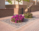 Beans Tree Grate