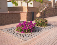 Beans Tree Grate