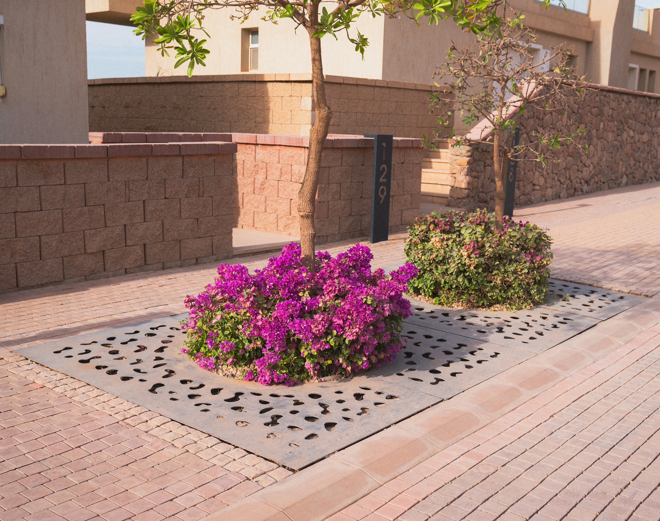 Beans Tree Grate