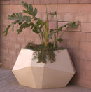 Tango More Pot