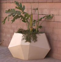 Tango More Pot