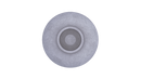 Canopic Pot